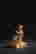 item-131708835=6