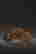 item-131743586=3