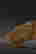 item-131743586=7