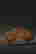 item-131743586=8