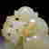 item-131743589=5
