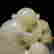item-131743589=7