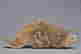 item-131743591=4