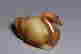 item-131743599=6