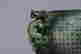 item-131743602=7