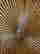item-128984524=4