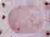 item-133390168=5