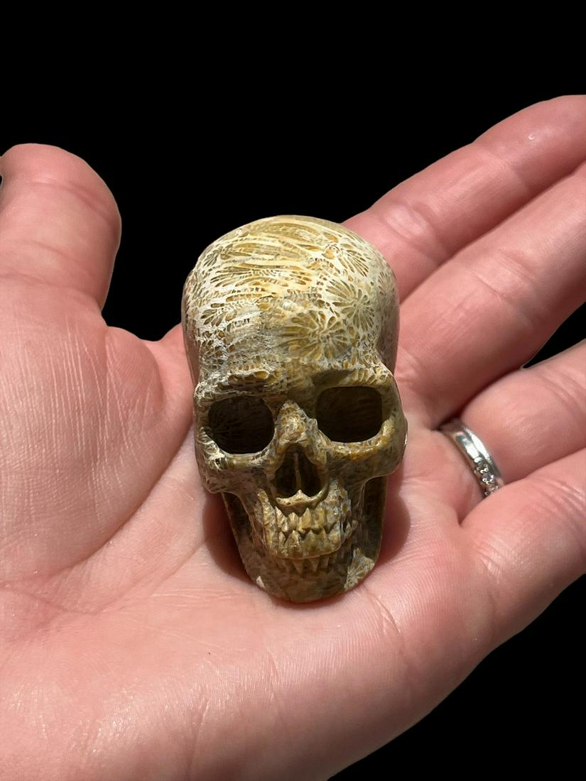 Antique Agatized Coral Carved Skull (1 of 4)