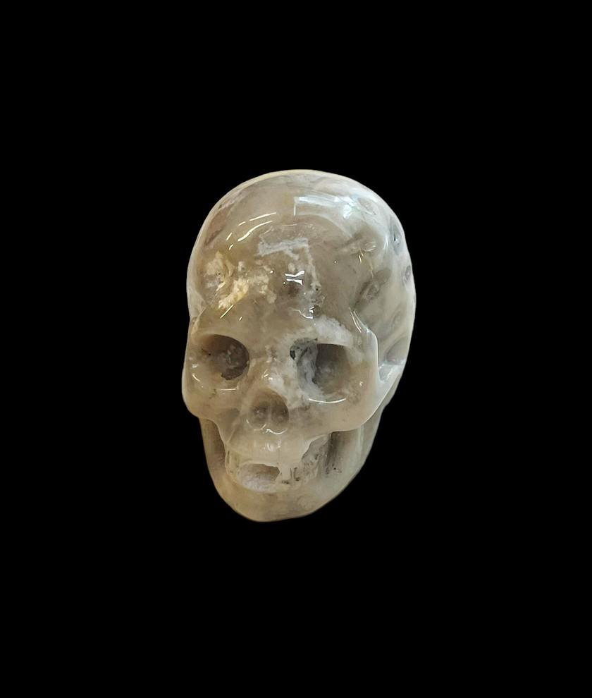 Antique/Vintage Fossilized Coral Miniature Skull (1 of 7)