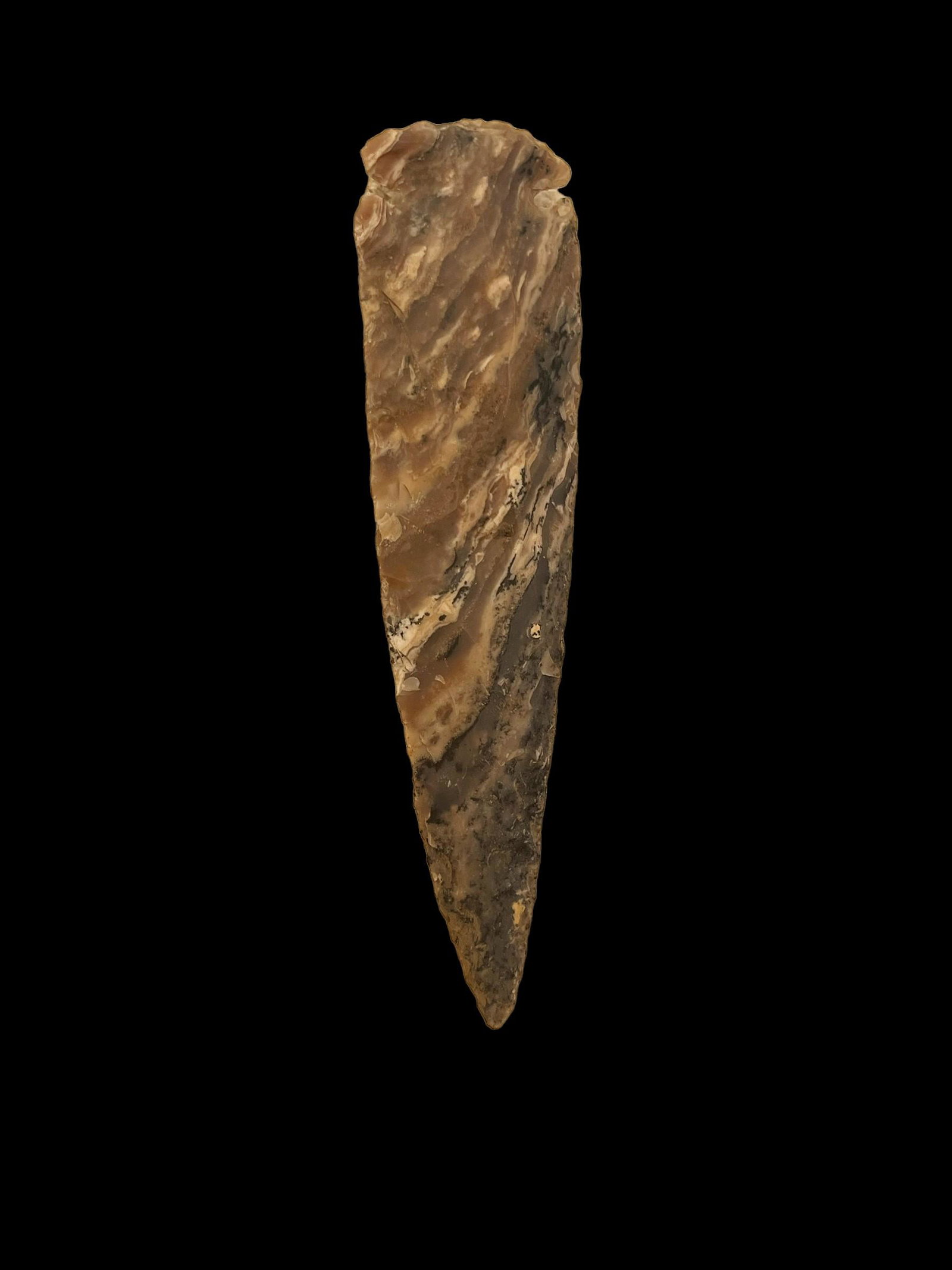 Pre-Columbian Spear Point (1 of 5)