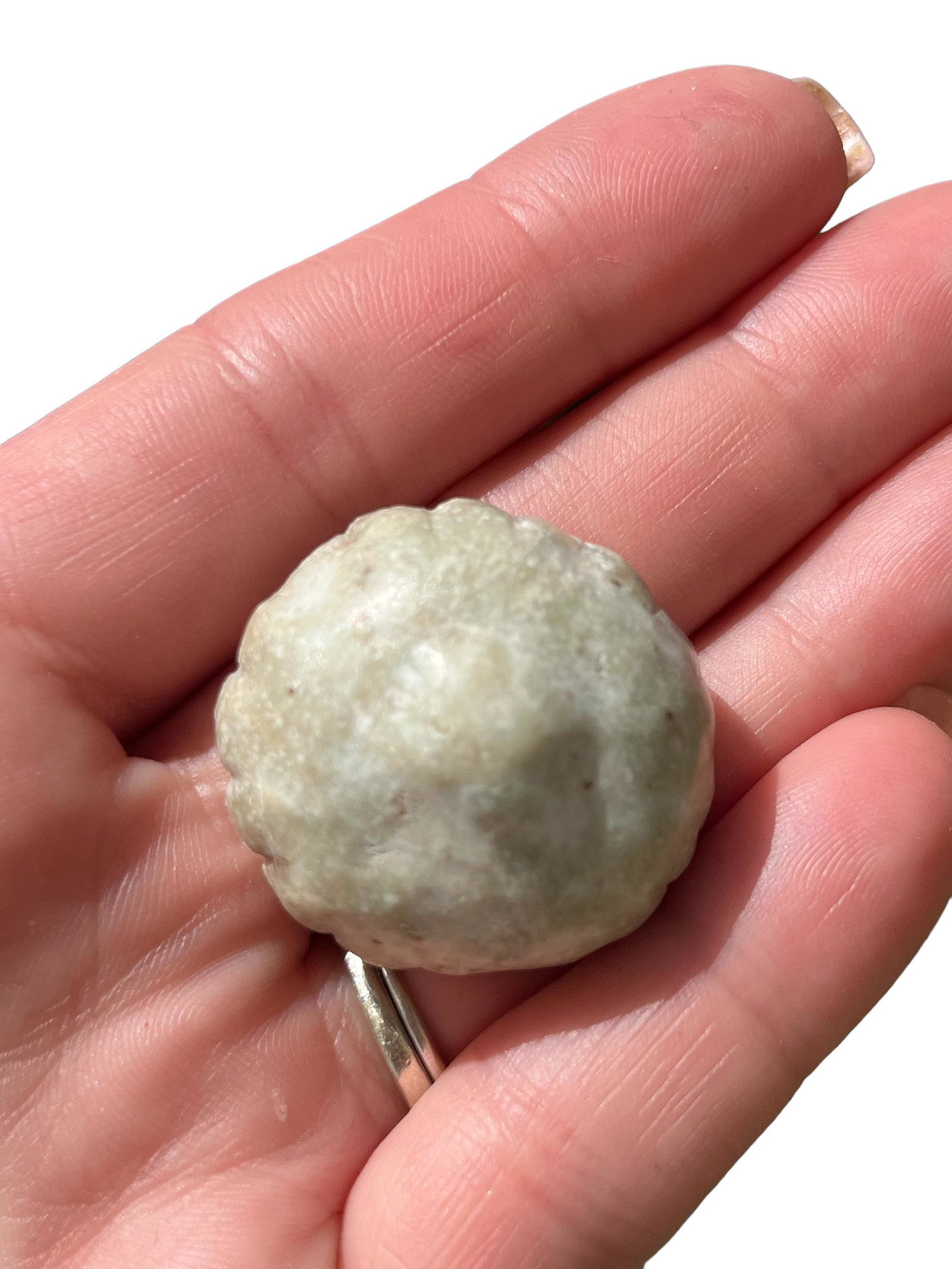 Pre-Columbian Mayan Carved Jade: Pre-Columbian Mayan Carved Jade, Represents cactus bulb. Measurements:1 1/4" L x 1 1/4" W x 3/4" D