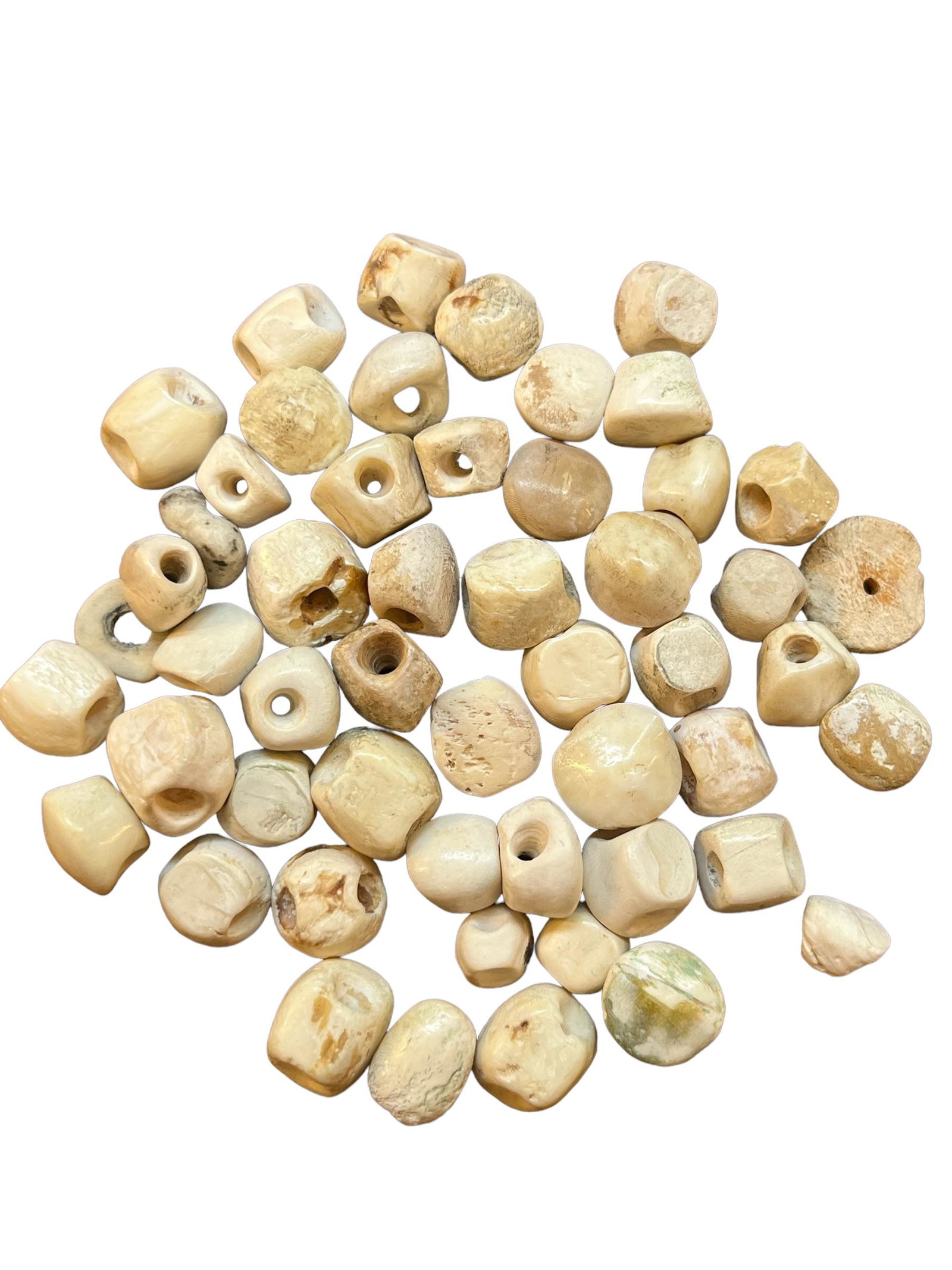 Pre-Columbian Tairona Shell Bead Collection: Pre-Columbian Tairona Shell Bead Collection, Corn kernel shaped beads, Approx. 81 included, Origin: Colombia, Age: 800-1200 A.D. Measurements:Average 1/3" each.
