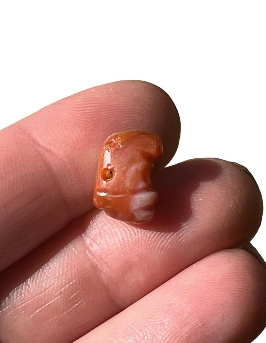 Pre-Columbian Carnelian Grub Bead: Pre-Columbian Carnelian Grub Bead, Translucent Carnelian. Measurements: 1/2" L x 3/8" W