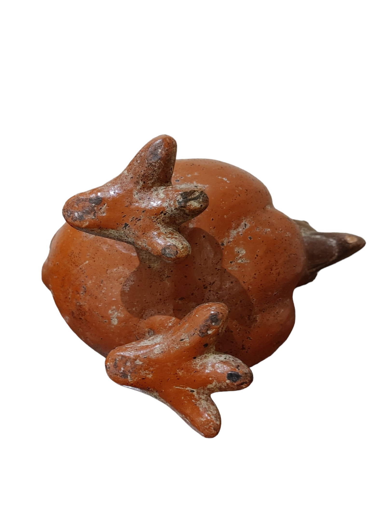 Pre-Columbian Large Colima Bird Vessel (1 of 8)