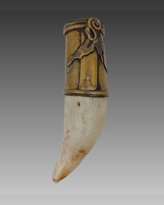 Sea Lion tooth pendant, South America: Sea Lion tooth pendant, South America, with handmade decorative bail of brass and copper, origin South America