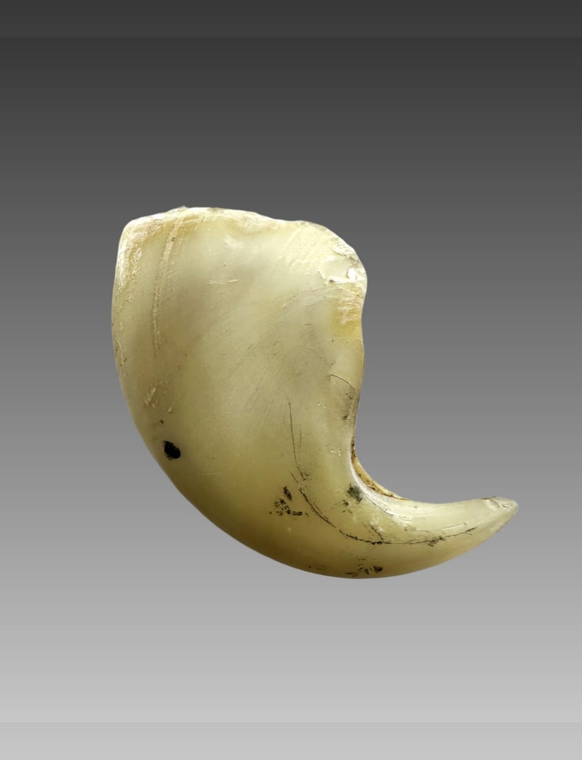 Antique Tiger Claw (1 of 2)