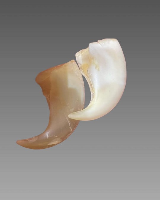 Antique Tiger Claws