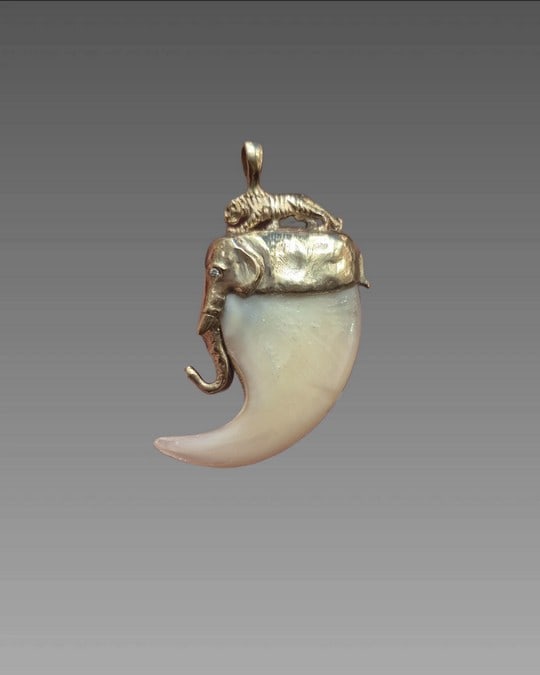 Tiger Claw Pendant (1 of 7)
