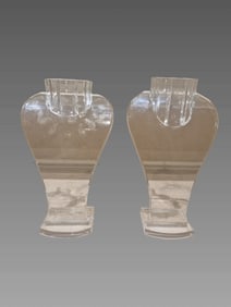 Pair of Acrylic Neck Stands