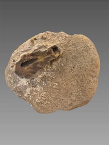 Native American Griding Stone, Shipwreck Salvage