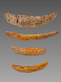 Pre-Columbian Spondyllus Shell Pendant Collection