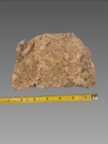 Coral Encrusted Shipwreck Salvage Artifact Authentic Ocean Recovered Relic