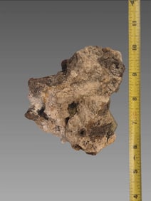 Nautical Crinoid Fossil in Matrix with Metallic Inclusions and Sea Glass