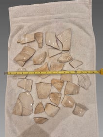 Shipwreck Ceramic Pottery Shards