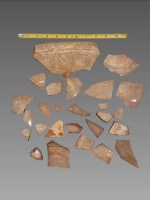 Shipwreck Ceramic Pottery Shards