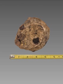 Artillery Projectile Spanish Colonial Era Cannonball Shipwreck Salvage Atlantic Ocean, Visible Coral