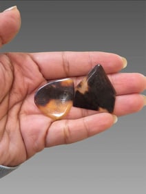 Victorian Tortoise Guitar Picks