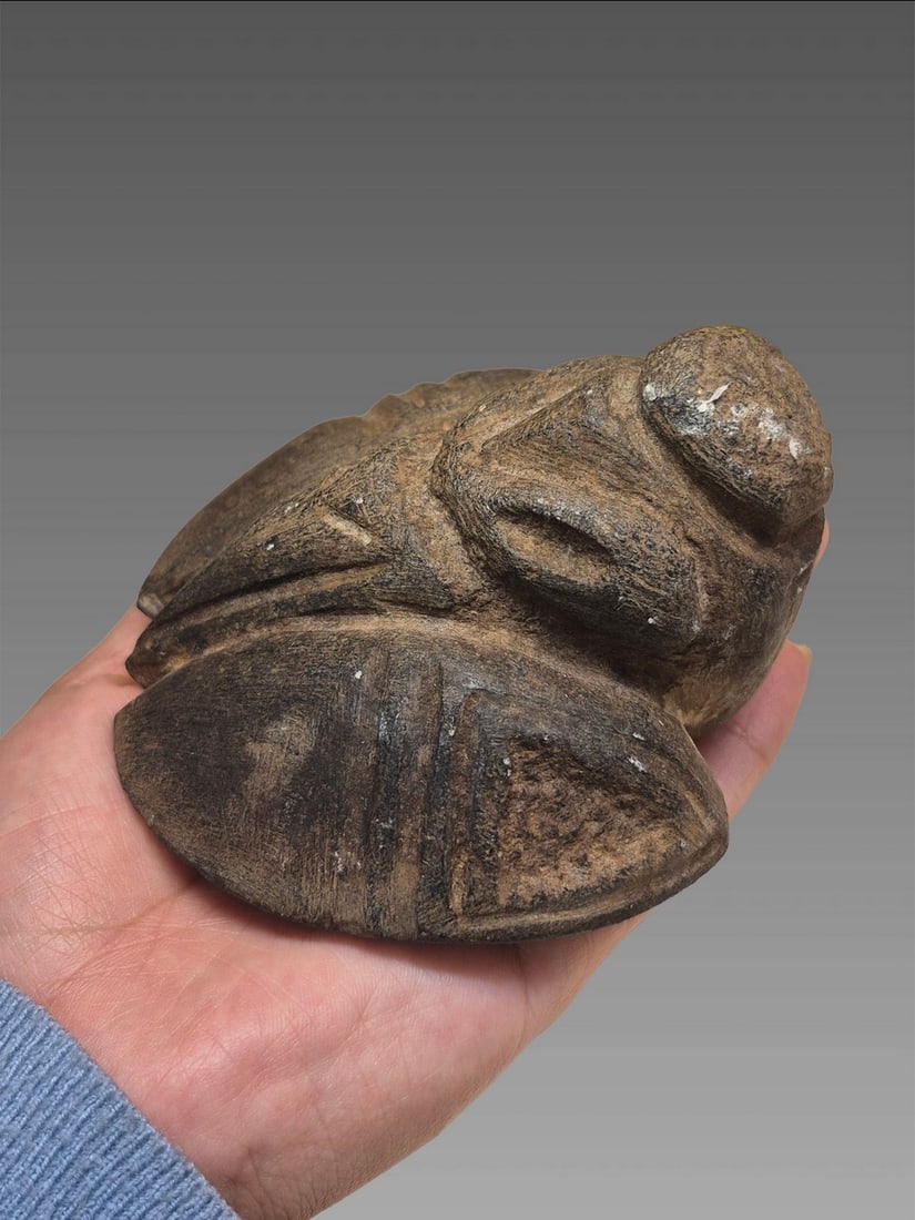 Pre-Columbian Taino Stone Carved Zemi Figure (1 of 7)