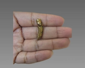 Pre-Columbian Gold Tairona Jaguar Tooth Pendant
