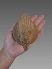 Pre-Columbian Taino Ceramic Bird Zemi Figure