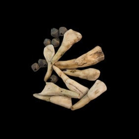 Native American Elk Teeth and Copper Beads