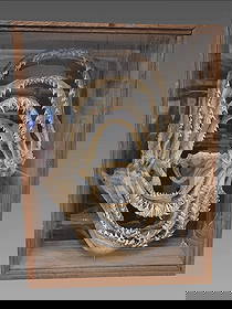 Taxidermy Shark Jaw Teeth Folk Art, Vintage Shark Jaw Art: Taxidermy Shark Jaw Teeth Folk Art, Vintage Shark Jaw Sculpture, 7 Jaws, Hammerhead, Black Tip, Lemon Shark, Sandbar Tiger, Bonnet Head Dimensions: 17.5"x23.5"