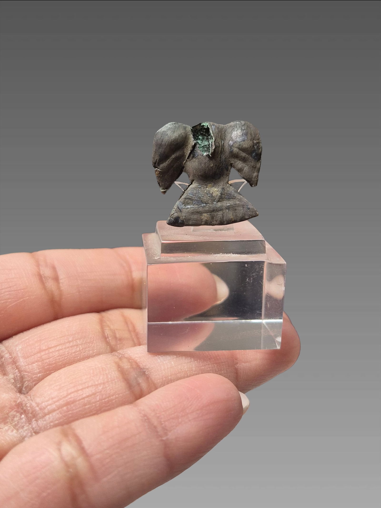 Pre-Columbian Moche Silver Bird Fragment: 1"X1" Pre-Columbian Moche Silver Bird Fragment