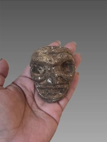 Pre-Columbian Taino Stone Zemi Skull