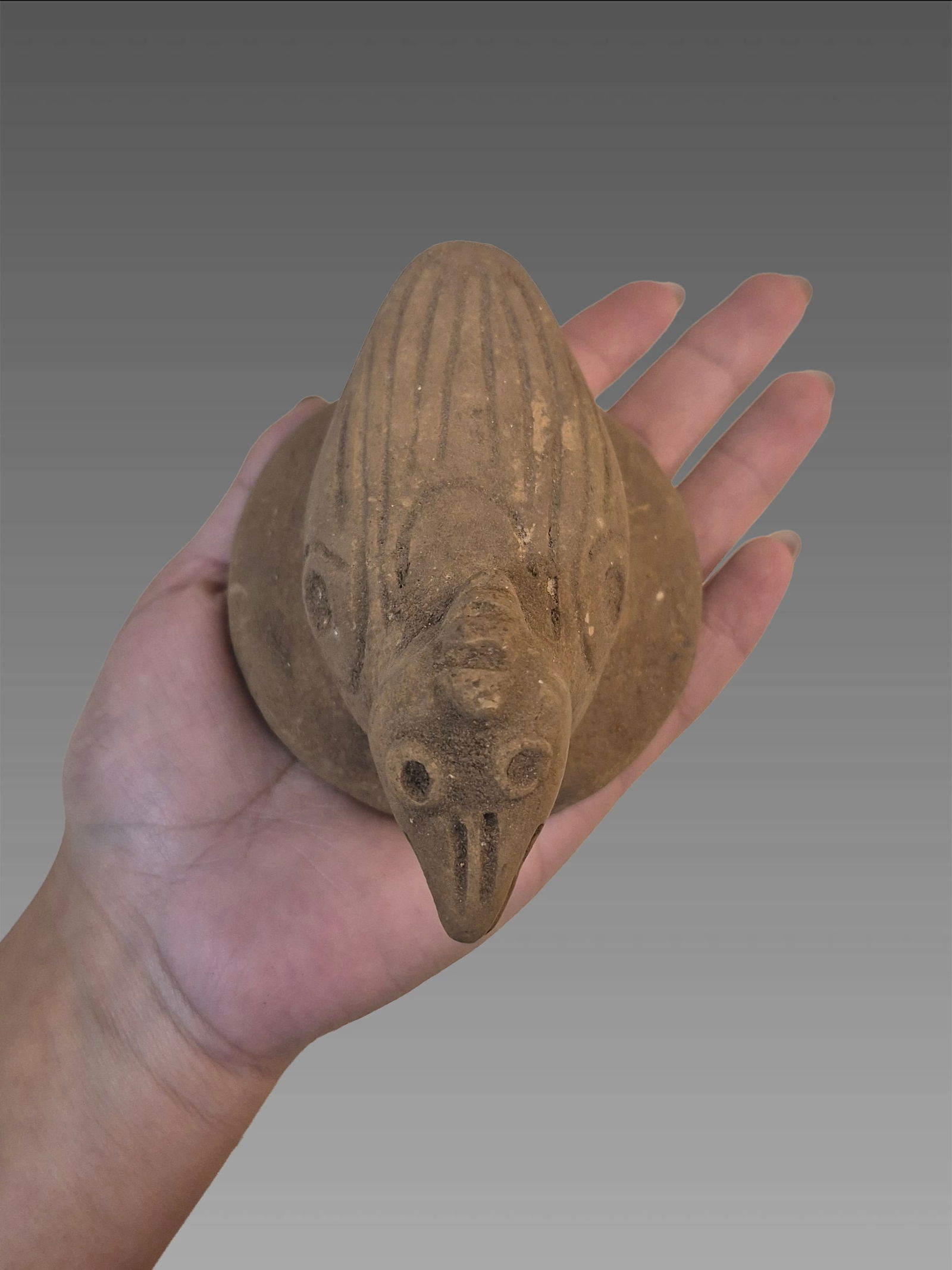 Pre-Columbian Taino Ceramic Bird Zemi Figure: 5"X3" Pre-Columbian Taino Ceramic Bird Zemi Figure