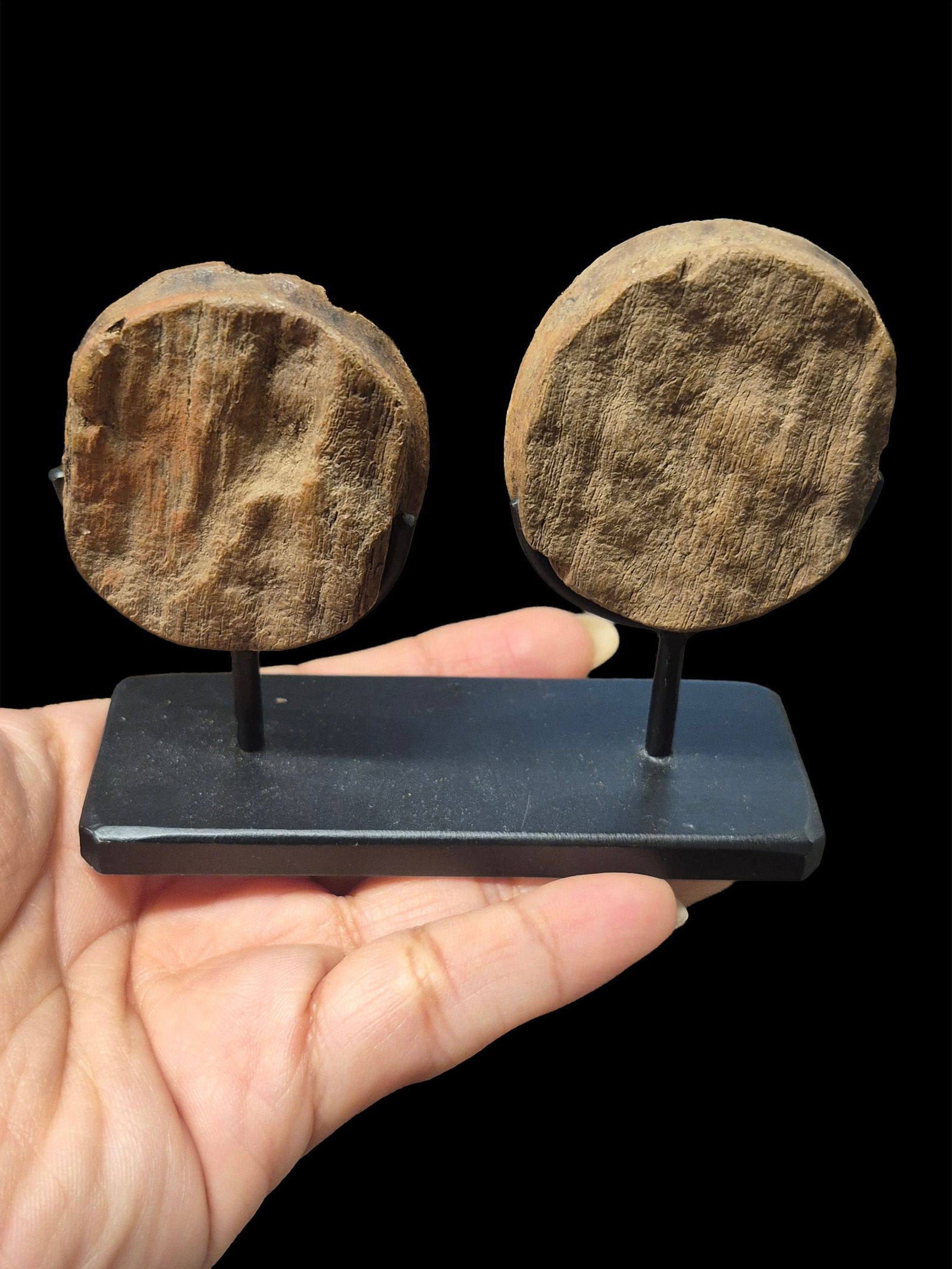 Pre-Columbian Chimu Inlaid Ear Spools: 3.4"x1.8" Pre-Columbian Chimu Inlaid Ear Spools, Wood, Spondyllus, Gold and Shell Ear Spools on Custom Stand, Chimu Culture 1100 to 1450 CE