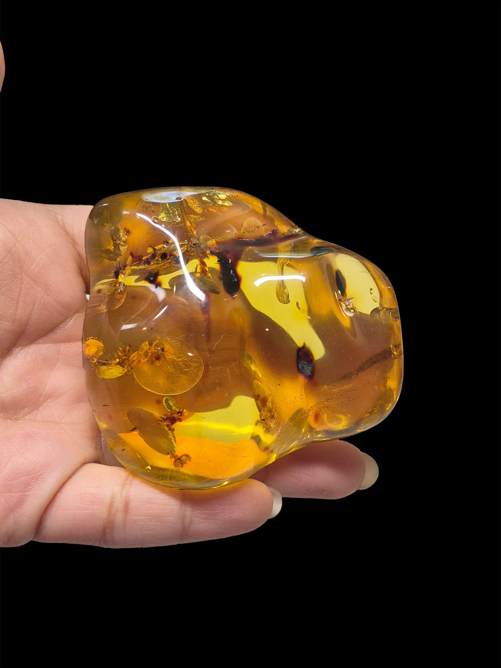 Very Large Andes Mountain Amber with Inclusions (1 of 6)