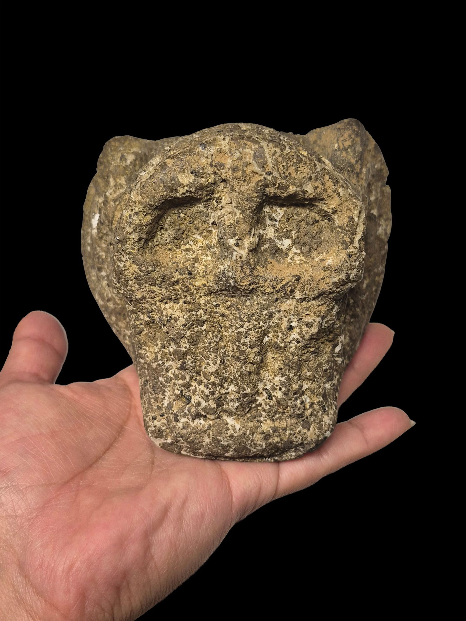 Pre-Columbian Mayan Carved Jaguar Skull Mace: 4"x5.5" Pre-Columbian Mayan Carved Jaguar Skull Mace, Mesoamerica, Exact Age Unknown