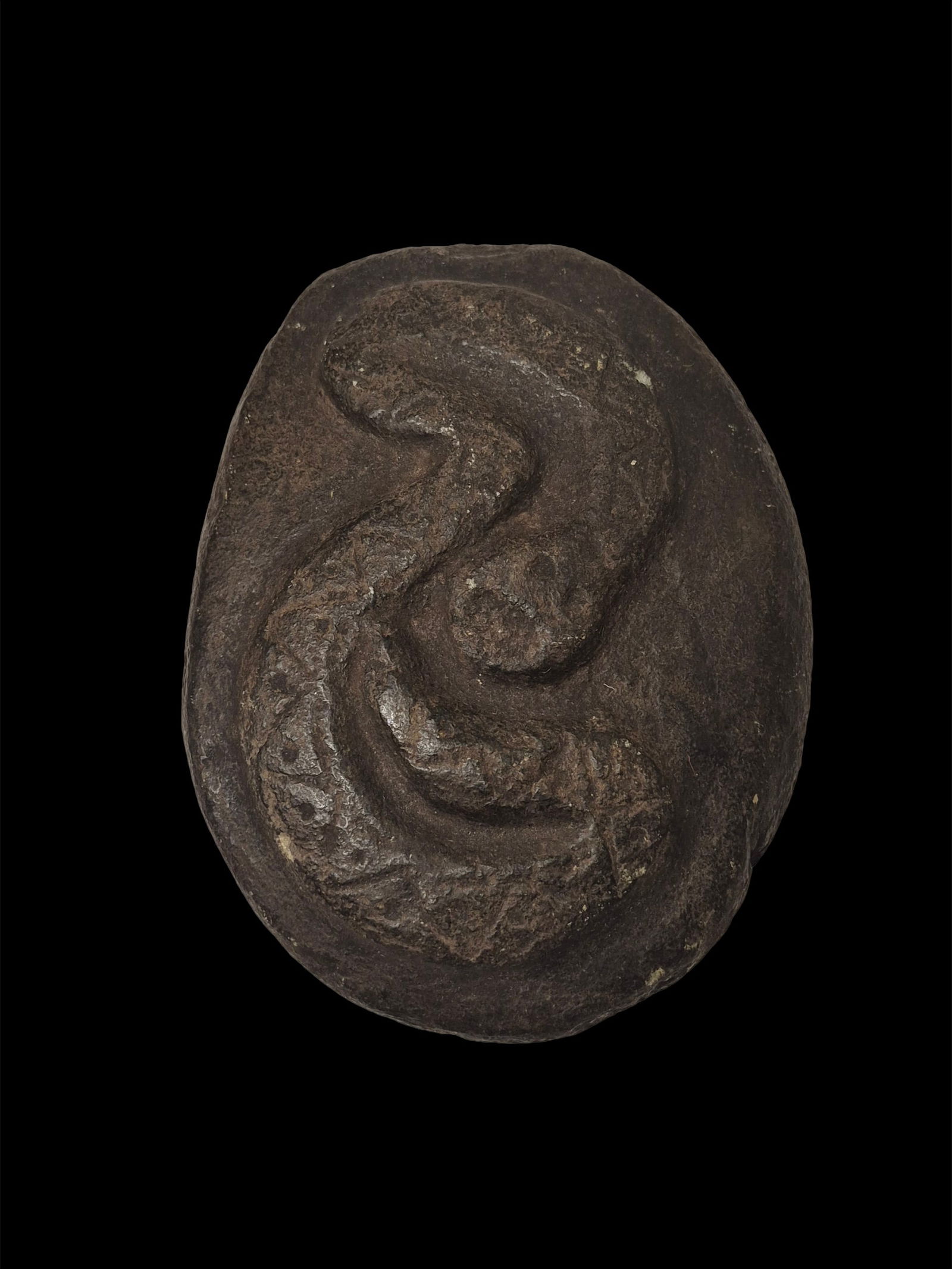 Pre-Columbian Zemi Snake Ceremonial Stone, Taino Culture: 5.4"x6.6" Pre-Columbian Zemi Snake Ceremonial Stone, Mineral Deposits, Signs of Erosion, Taino Culture, c.a 1100-1500 A.D