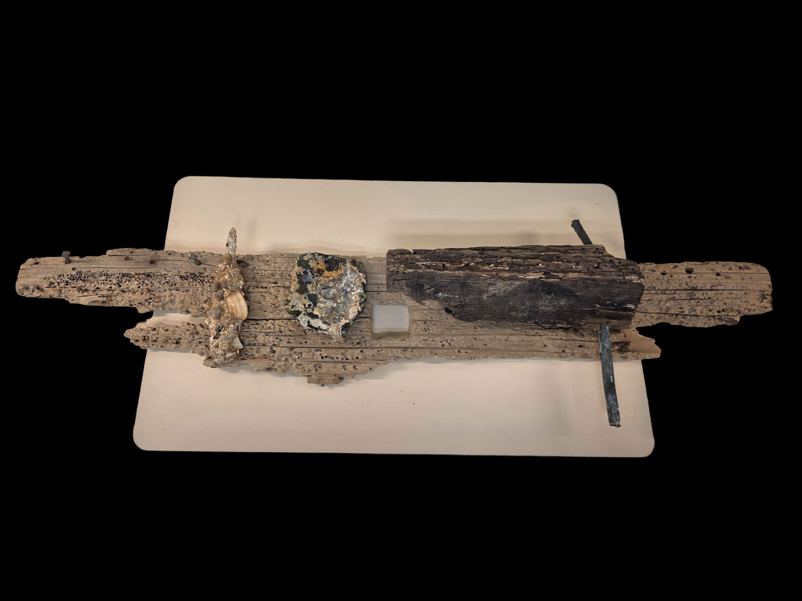 Collection of Marine Shipwreck and Marine Glass Salvage: 6" x 34" Collection of Marine Shipwreck and Marine Glass Salvage, Atlantic Ocean Marine Salvage, Shipwreck Wood, Green Glass, Bronze Nail with Shell and Coral Growth, Size Ranges, Wood 6" x 34"