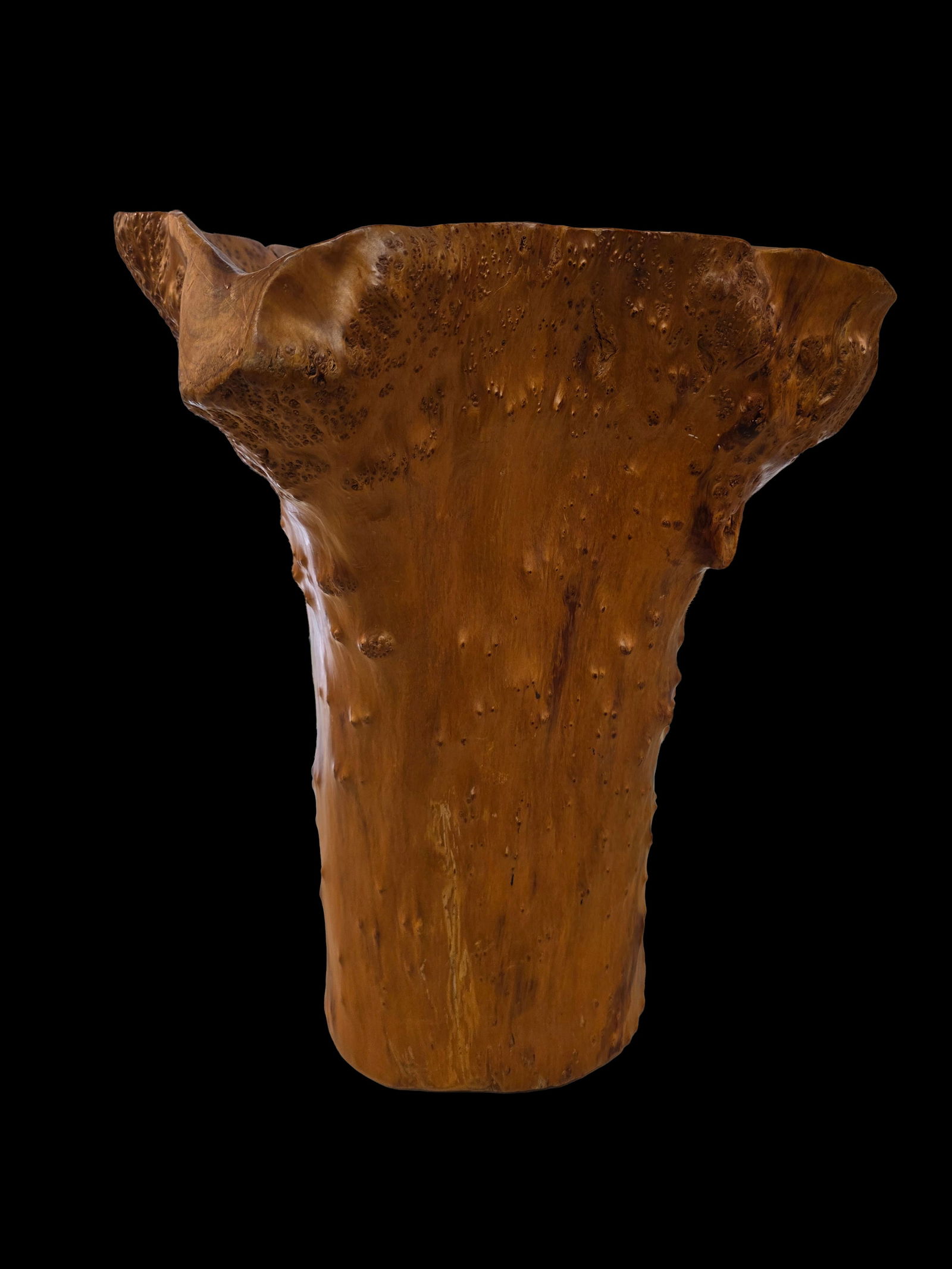 Hand-Carved Tree Live Edge Burlwood Planter: 17.5" x 13.5" Hand-Carved Tree Live Edge Burlwood Planter