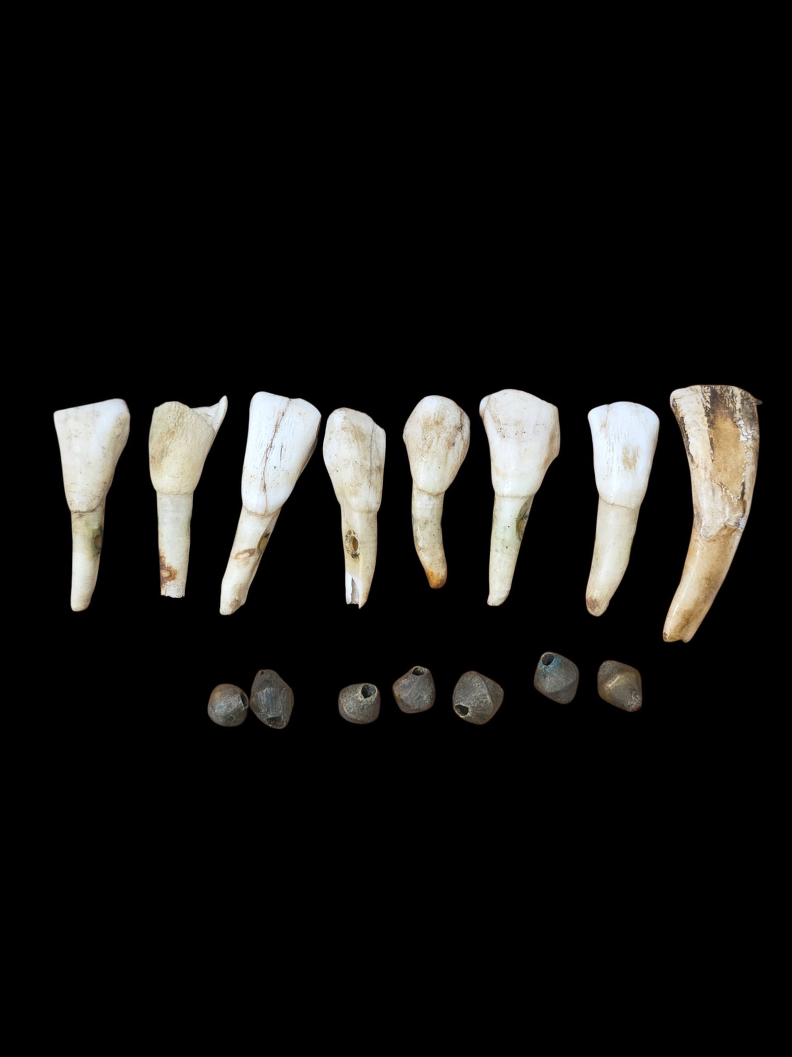 Antique Native American Elk Teeth And Trade Beads, 19Th Century (1 of 2)