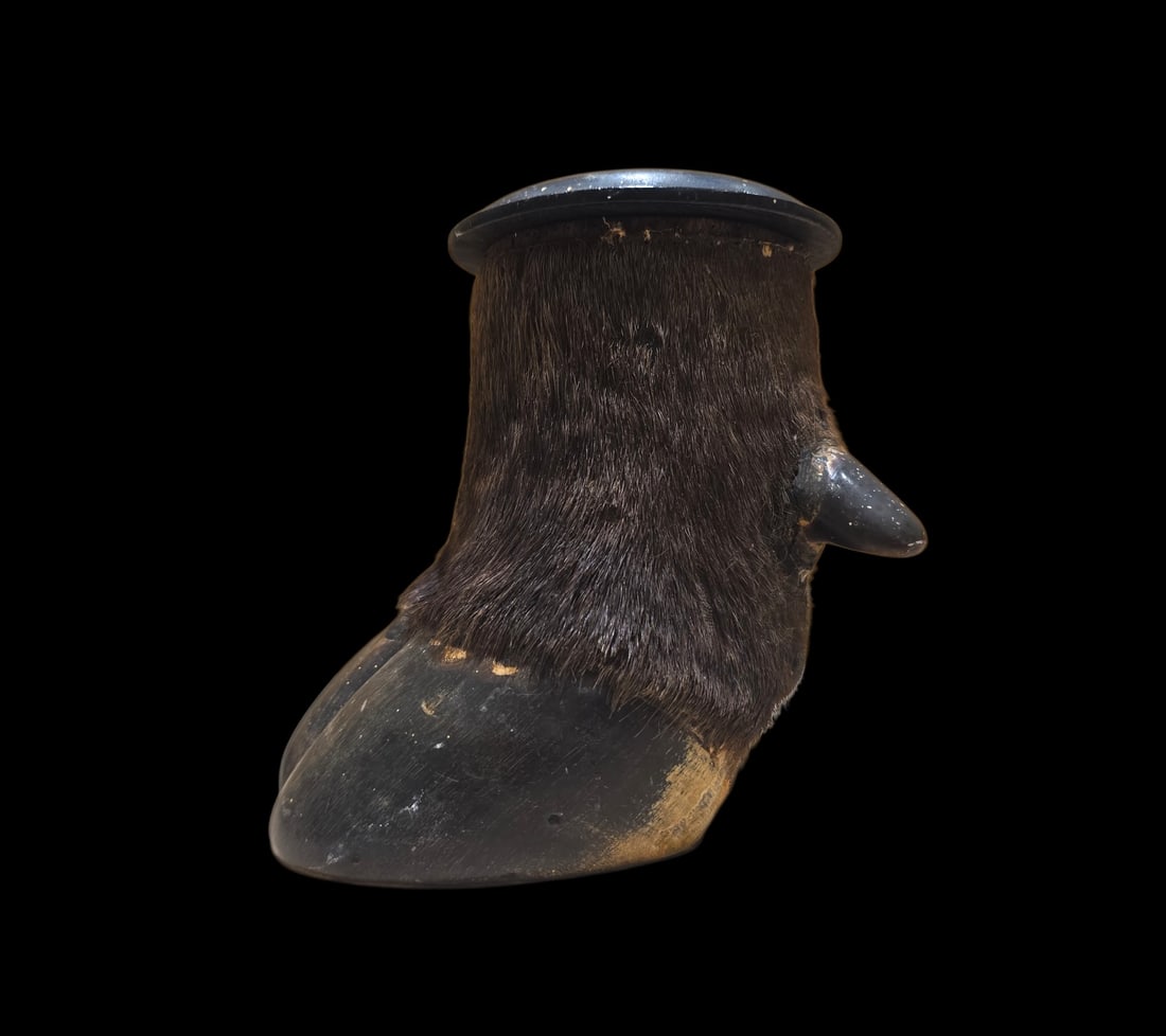 Antique Taxidermy Bison Foot Humidor (1 of 4)