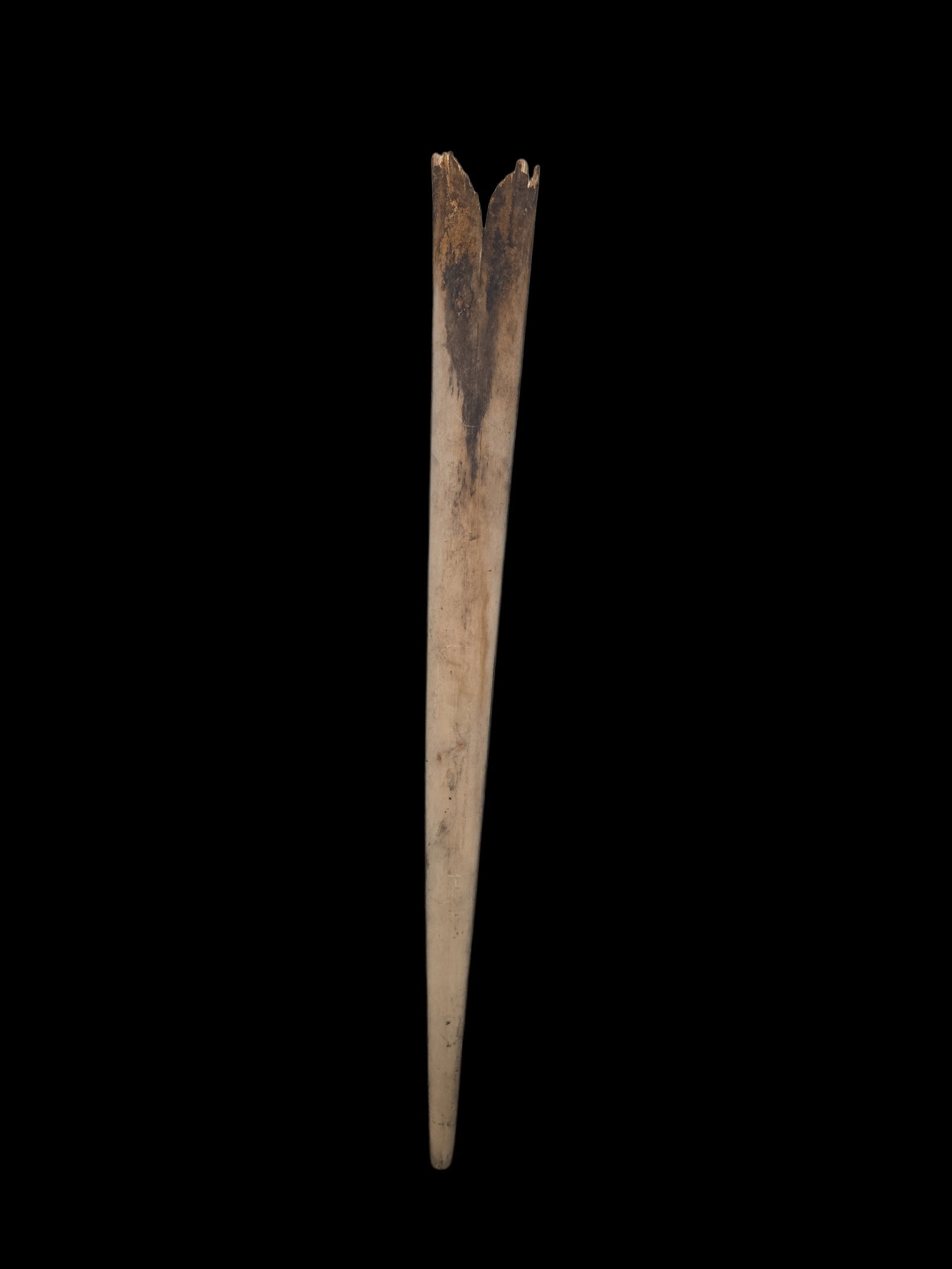 Vintage Swordfish Bill (1 of 3)