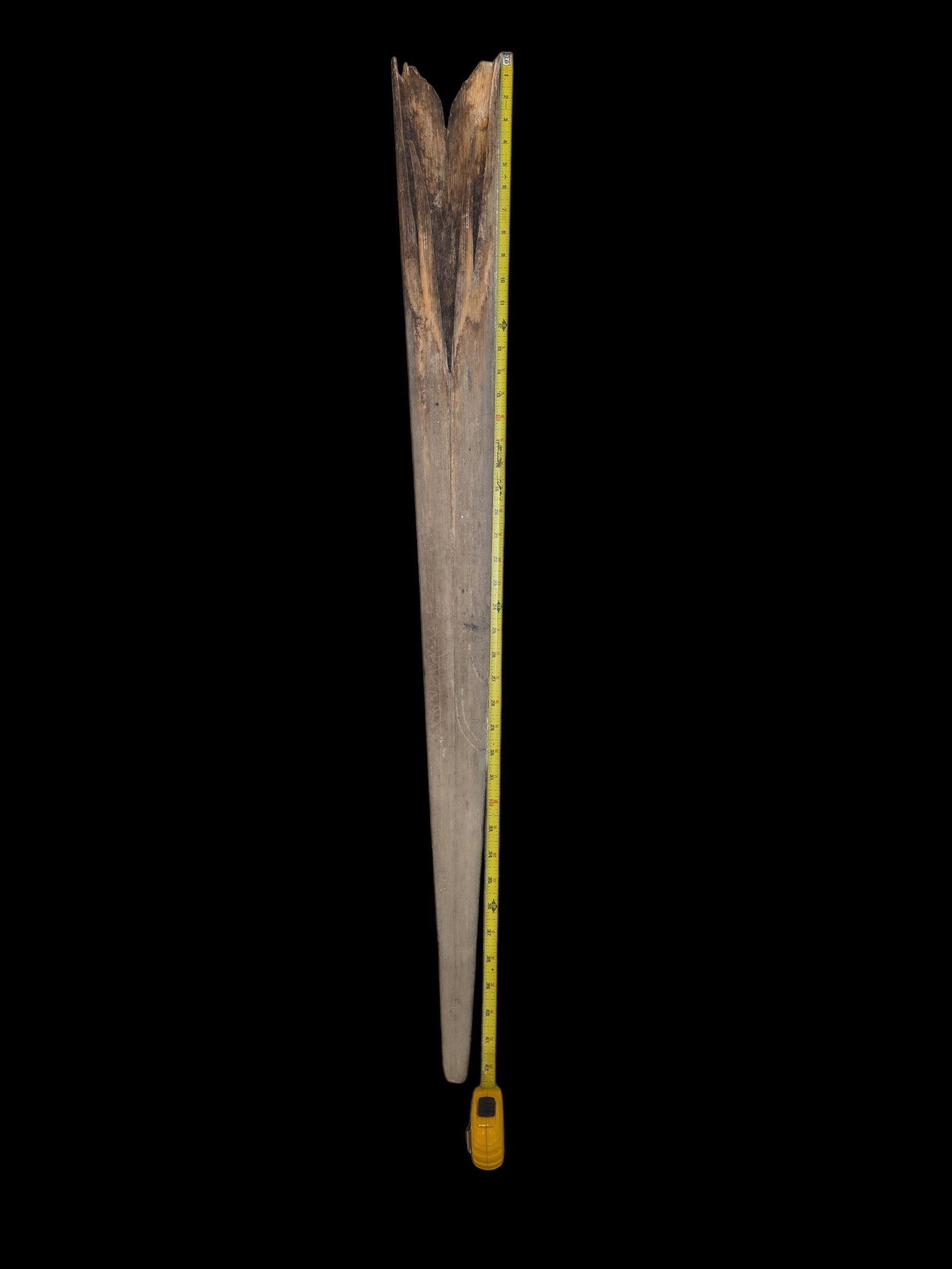 Vintage Swordfish Bill - 2