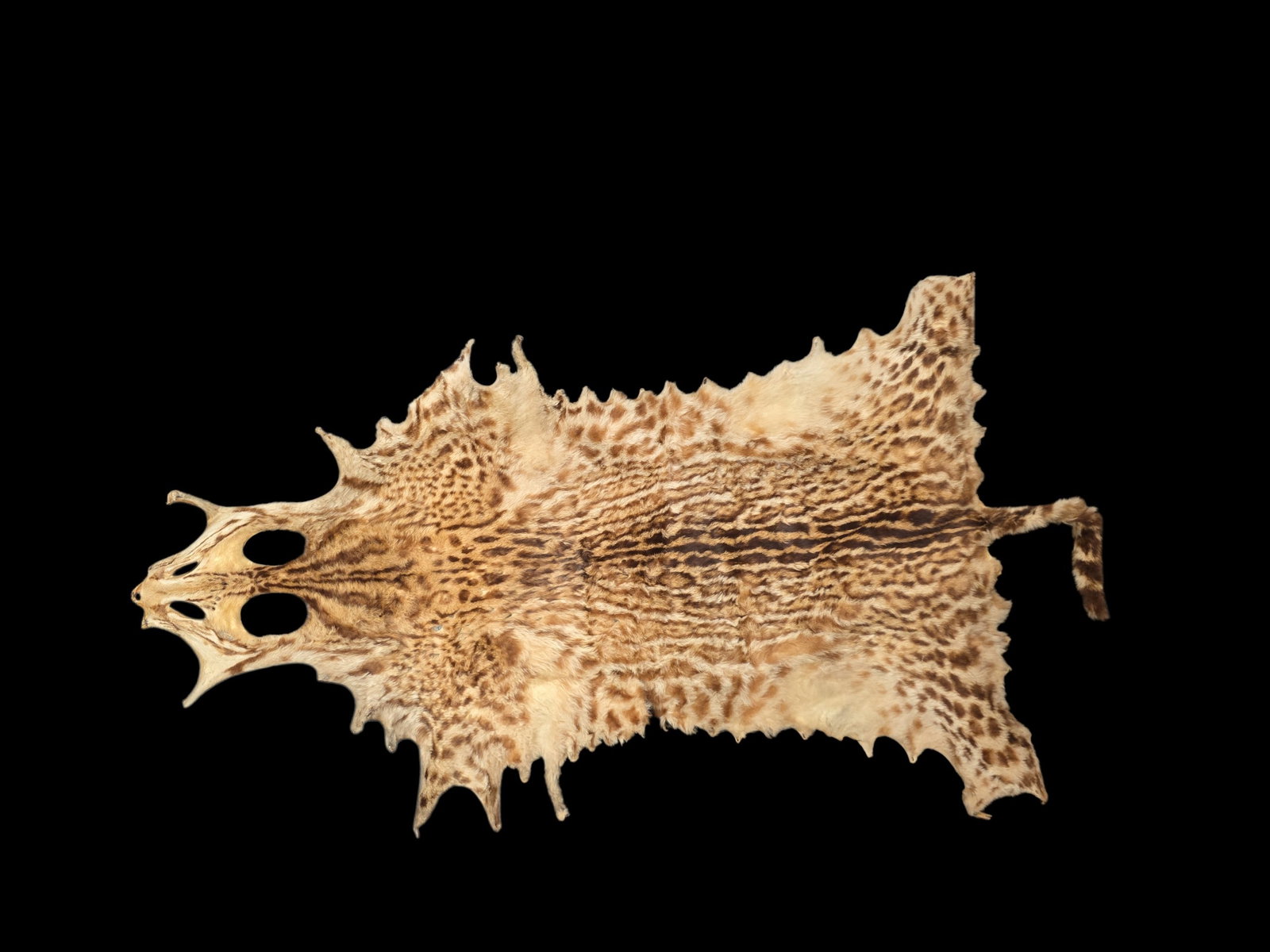 Vintage Taxidermy Skin, Ocelot (1 of 2)